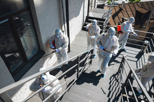 Best Forensic Mold Investigation  in Stirling, NJ
