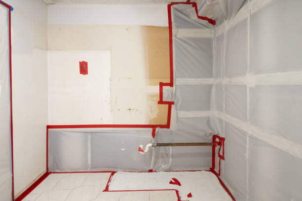 Best Emergency Mold Remediation  in Stirling, NJ
