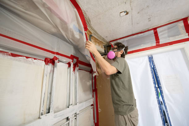 Best Water Damage & Mold Remediation  in Stirling, NJ