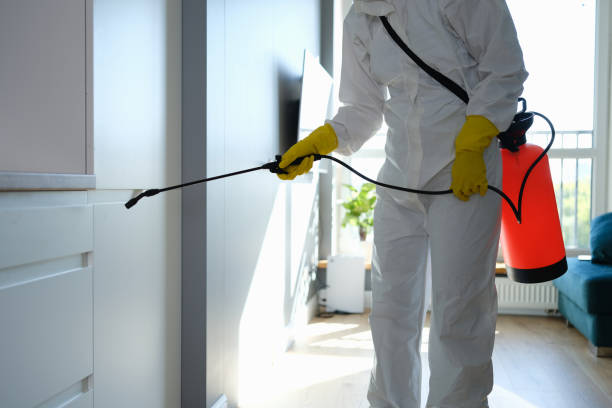 Stirling, NJ Mold Removal Company