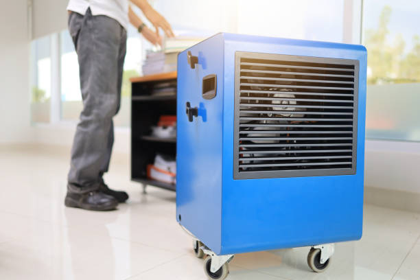 Best Mold Documentation for Insurance Claims  in Stirling, NJ