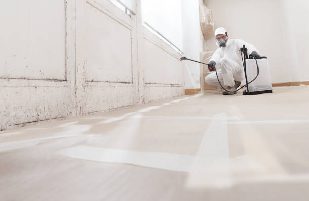 Best Mold Removal for HVAC Installations  in Stirling, NJ