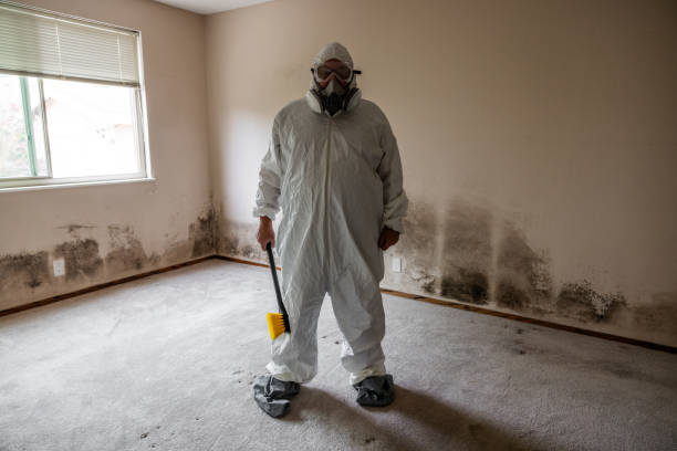 Biohazard Mold Removal in Stirling, NJ